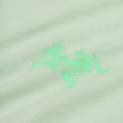 T-Shirts*Arcteryx Kragg SL Cotton Bird Tile Longsleeve Stone Green / Phosphorescent