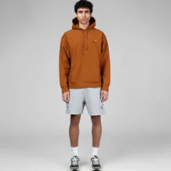 Hoodies*Carhartt WIP Hooded American Script Sweat Sienne