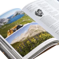 Bücher & Magazine*GESTALTEN Wanderlust - Alps