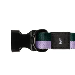 Hundezubehör*HAY Dogs Collar Flat M/L Lavender / Green