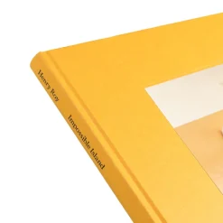 Bücher & Magazine*Loose Joints Publishing Henry Roy – Impossible Island UNI