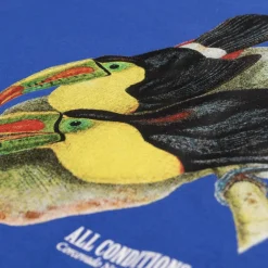T-Shirts*Nike ACG Dri-Fit Toucan T-Shirt Game Royal