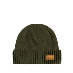 Beanies*Patagonia Brodeo Beanie 73 Skyline, Pine Needle Green