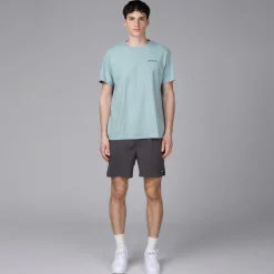 T-Shirts*Patagonia Fitz Roy Icon Responsibili Tee Fleck Blue