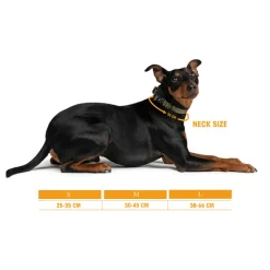 Hundezubehör*Trekk by Asphaltgold Trekk Dog Collar Midnight Purple