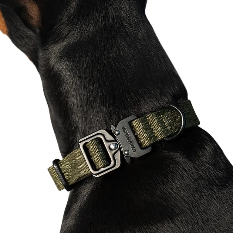 Hundezubehör*Trekk by Asphaltgold Trekk Dog Collar Midnight Purple
