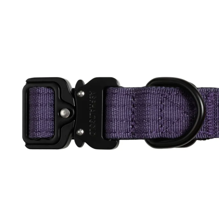 Hundezubehör*Trekk by Asphaltgold Trekk Dog Collar Midnight Purple