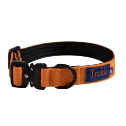 Hundezubehör*Trekk by Asphaltgold Trekk Dog Collar Sunny Orange
