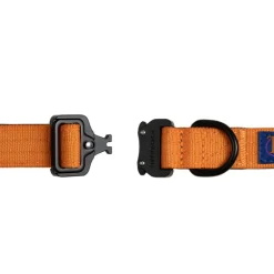 Hundezubehör*Trekk by Asphaltgold Trekk Dog Collar Sunny Orange
