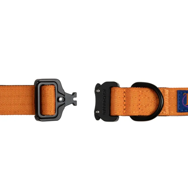 Hundezubehör*Trekk by Asphaltgold Trekk Dog Collar Sunny Orange