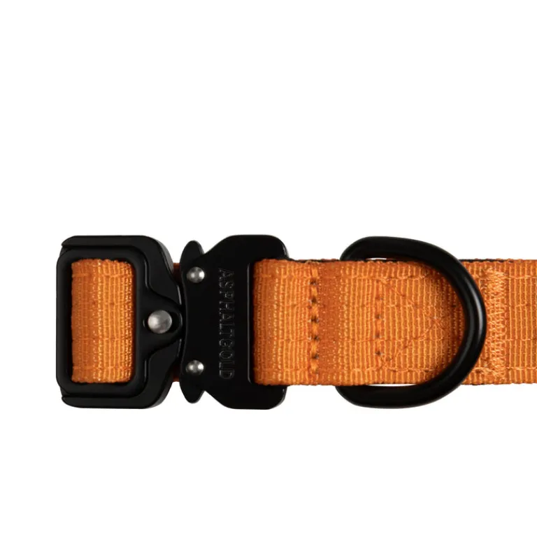 Hundezubehör*Trekk by Asphaltgold Trekk Dog Collar Sunny Orange