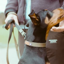 Hundezubehör*Trekk by Asphaltgold Trekk Dog Collar Olive / Black