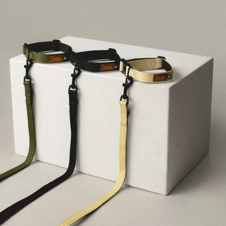 Hundezubehör*Trekk by Asphaltgold Trekk Dog Collar Creme / Black