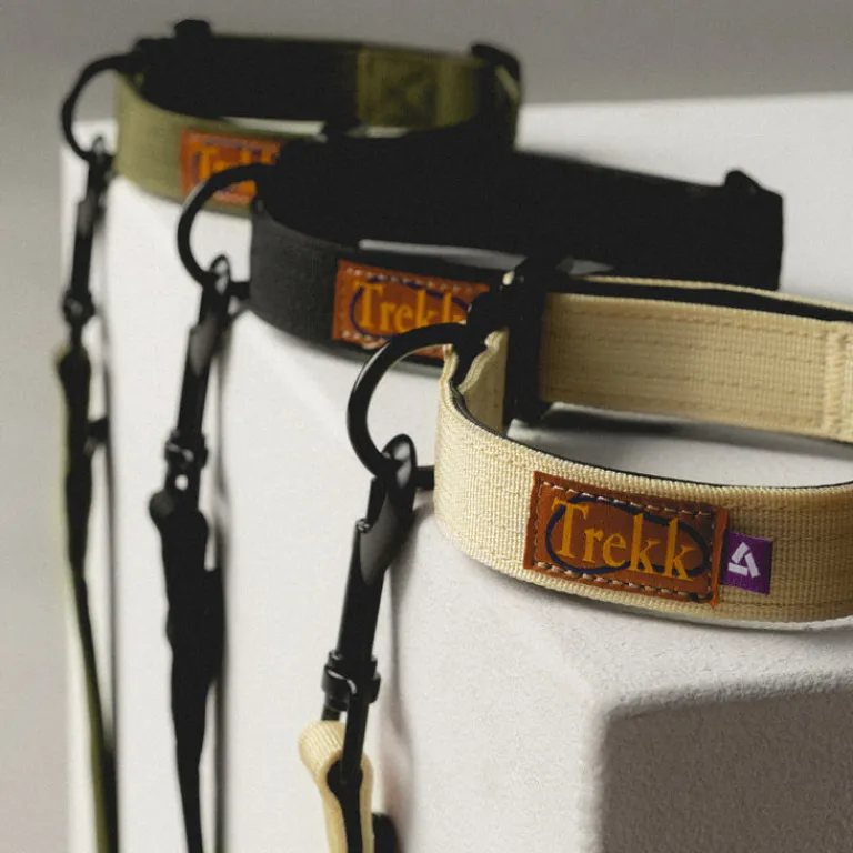 Hundezubehör*Trekk by Asphaltgold Trekk Dog Collar Creme / Black