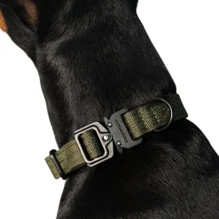 Hundezubehör*Trekk by Asphaltgold Trekk Dog Collar Creme / Black