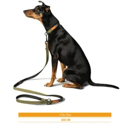 Hundezubehör*Trekk by Asphaltgold Trekk Dog Leash Sunny Orange
